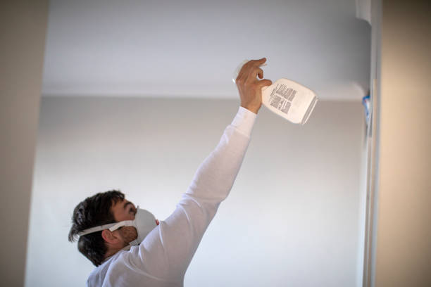 Best Insurance-Related Mold Remediation in Weston Mills, NY