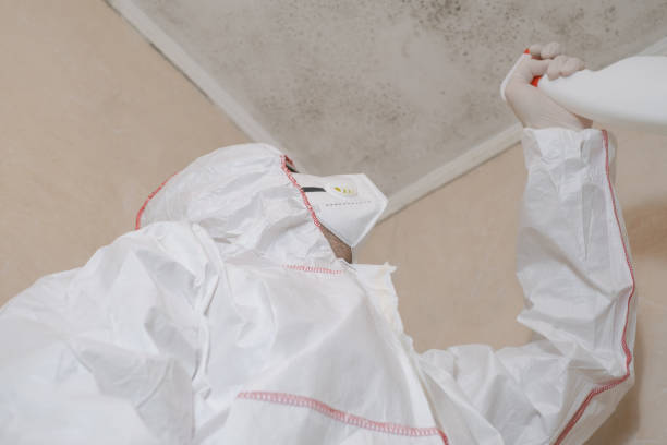 Best Industrial Mold Remediation in Weston Mills, NY